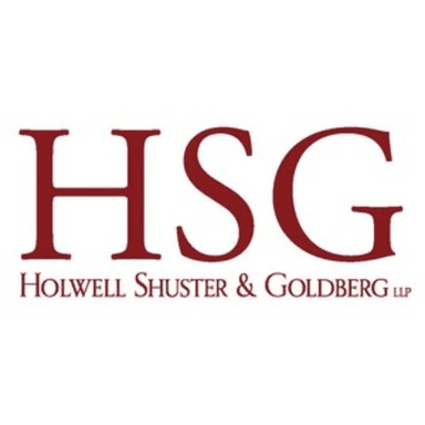 Holwell Shuster & Goldberg LLP logo